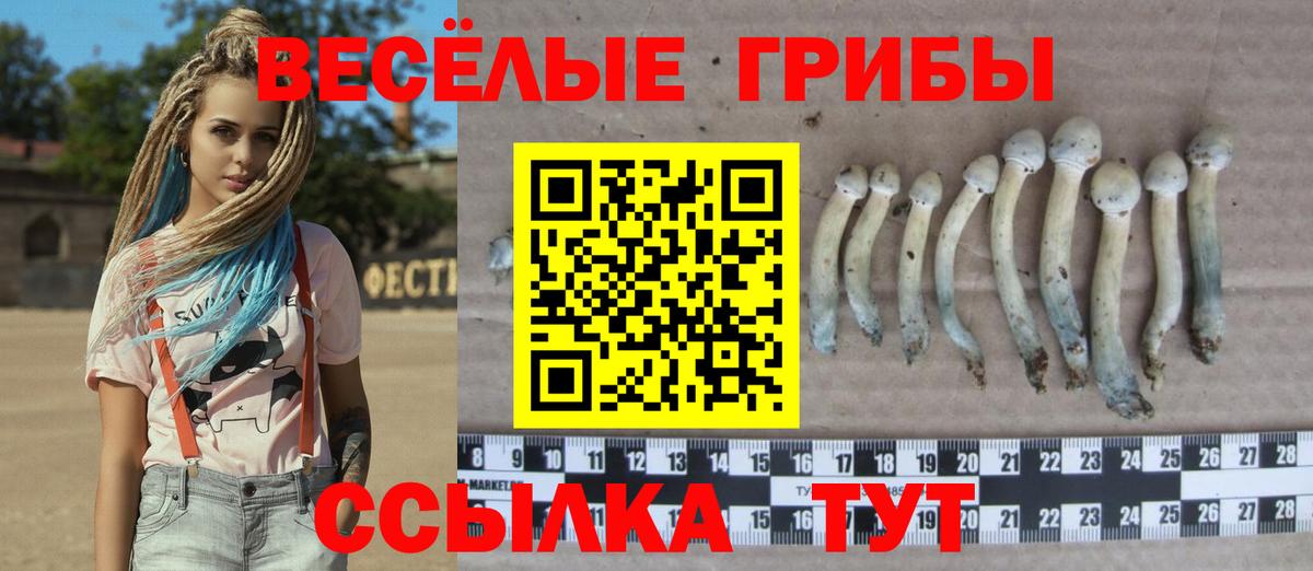 Смоленск  Галлюциногенные грибы Psilocybine cubensis  Вход с VPN  Галлюциногенные грибы Cubensis 